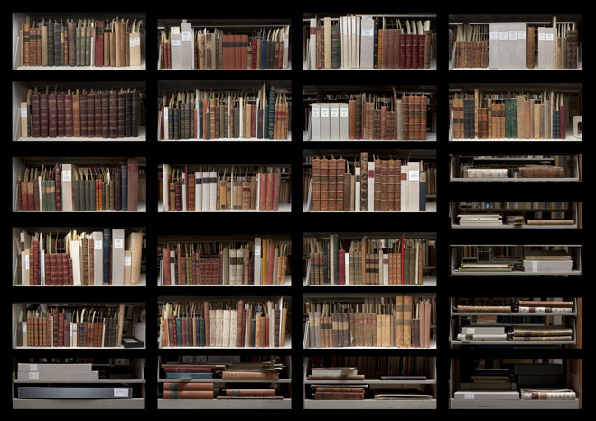 Browse the Fox Collection by clicking the areas on the map above.